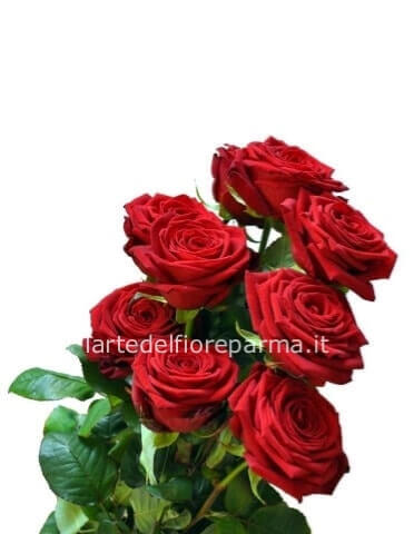 Rose rosse a gambo lungo da comporre in mazzo per numero di steli.
