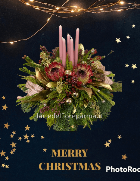 Centrotavola natalizio grande con protea