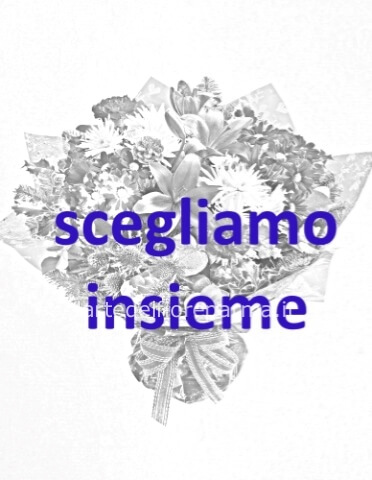 Omaggio da concordare a telefono al 3470331083