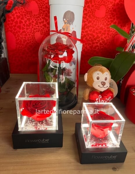 Flowercube- vari colori disponibili